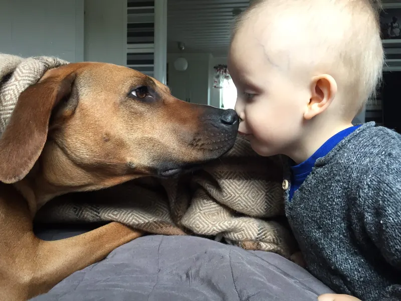 Furry friends