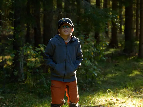 Exploring the forests of Dalarna