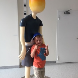 Hospital visits, transfusions, operations