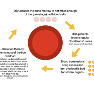 Hospital visits, transfusions, operations