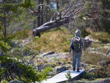 <br> copyright Viktorious.se