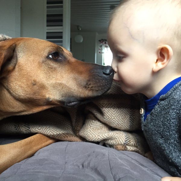 Fun with furry friends