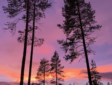 IMG_7628.jpeg copyright Viktorious.se