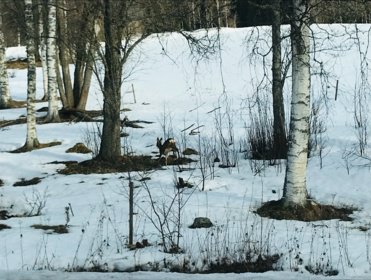 IMG_4067.jpg copyright Viktorious.se