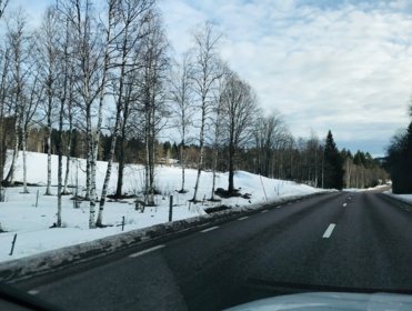 IMG_4066.jpg copyright Viktorious.se