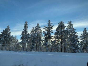 DEA4B233-7804-403C-B409-F4F71510B6A9.jpeg copyright Viktorious.se