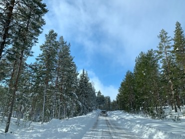 IMG_0050.jpeg copyright Viktorious.se