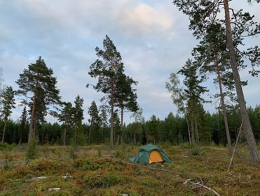 IMG_2006.jpeg copyright Viktorious.se