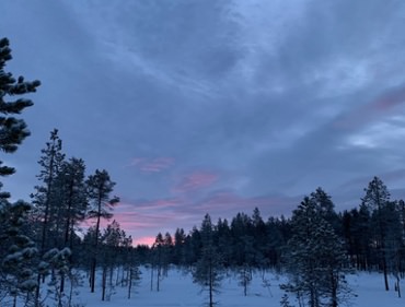 IMG_7767.jpeg copyright Viktorious.se