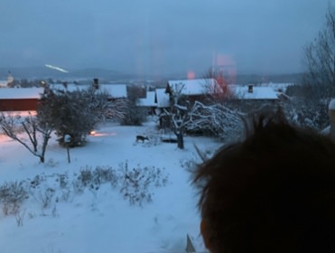 IMG_5874.jpeg copyright Viktorious.se