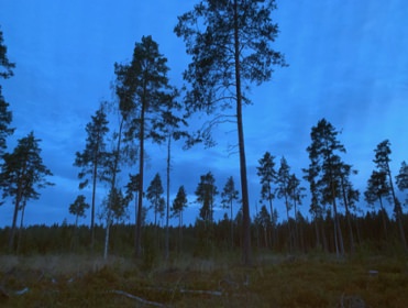 IMG_2044.jpeg copyright Viktorious.se
