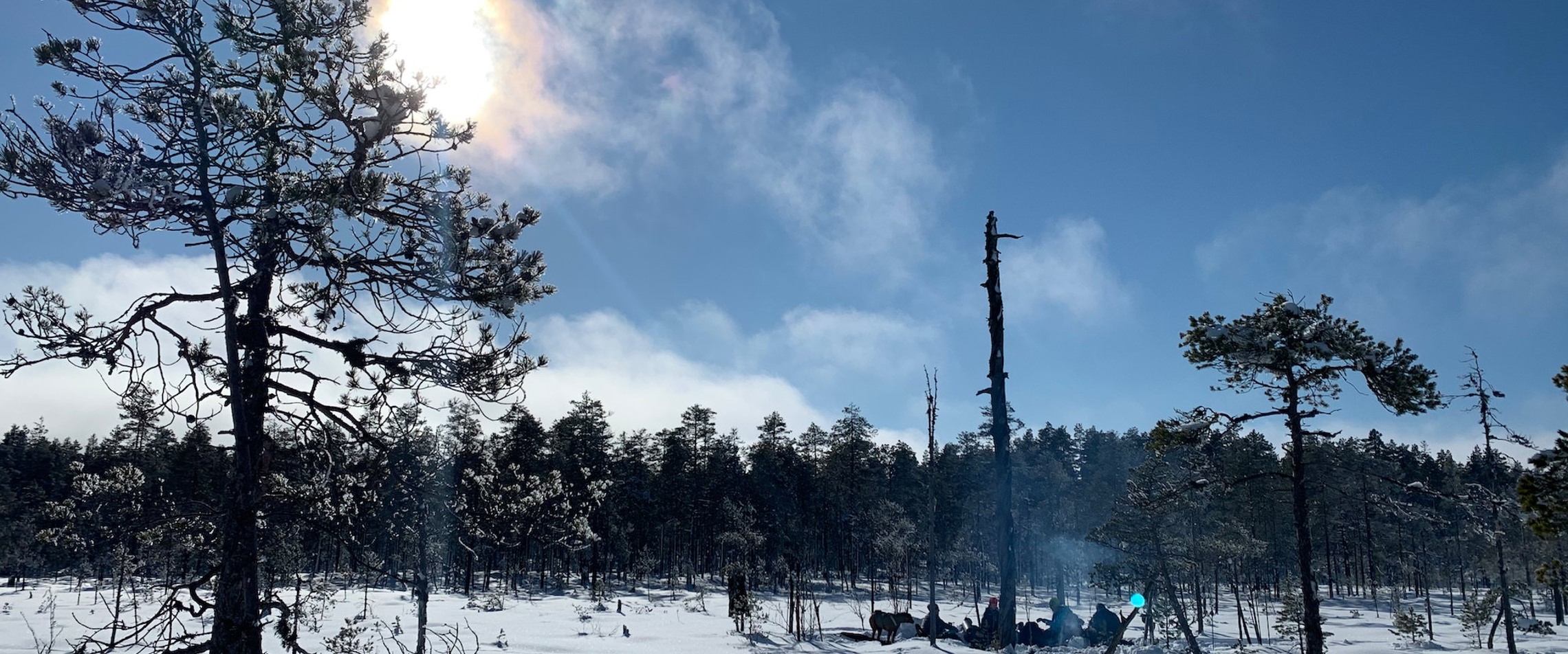 Winter adventures with friends in the forests around Siljan - copyright Viktorious.se