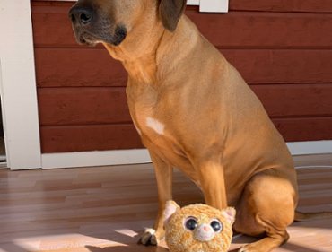 58798357463__B3AEE7EC-7408-4037-9751-24E4651B9456.jpeg copyright Viktorious.se